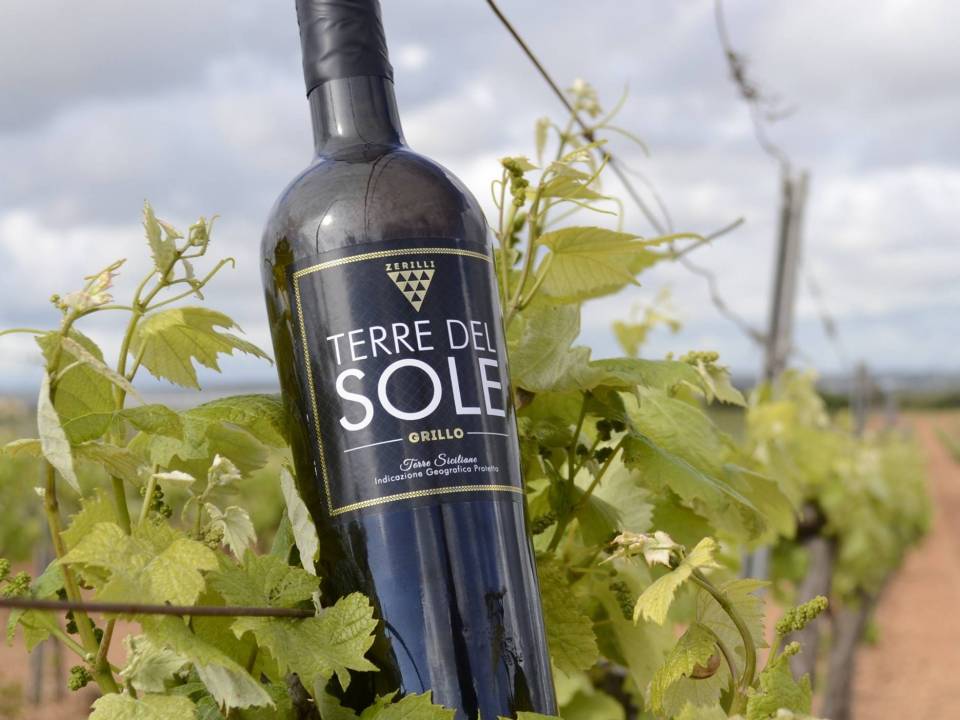 Terre del Sole Zerilli winery2