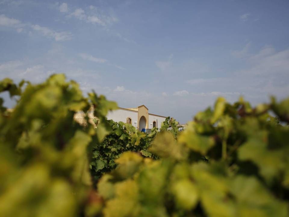 Marco De Bartoli - Samperi winery: Marco De Bartoli in Marsala winery3