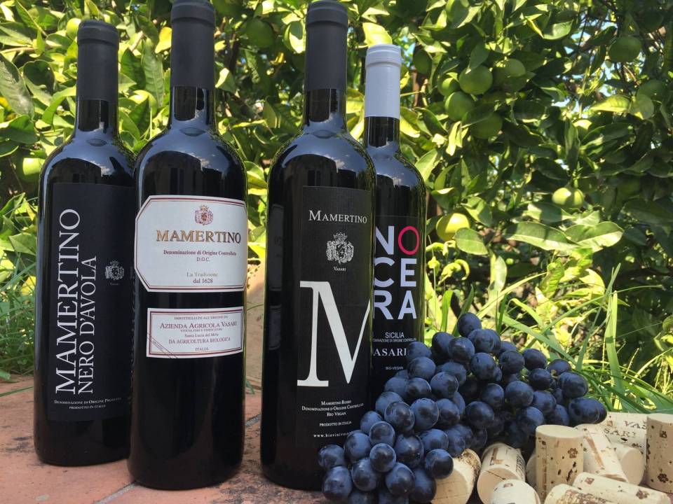 Società Agricola Vasari winery2