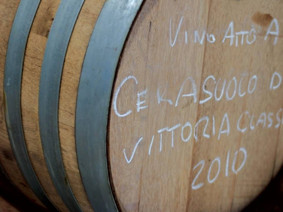 Azienda Agricola Poggio di Bortolone winery7