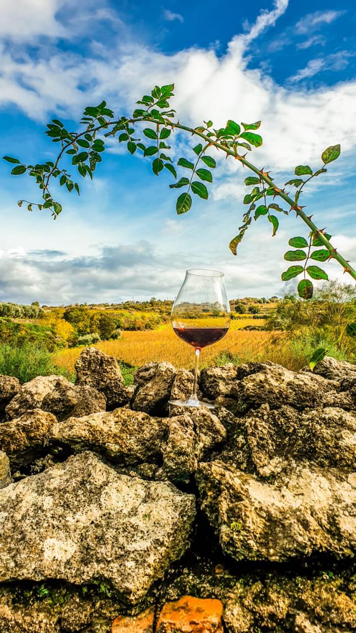 wine glass landscape graci winery