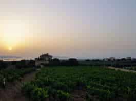 Migliori degustazione vini a Marsala, visita le cantine storiche