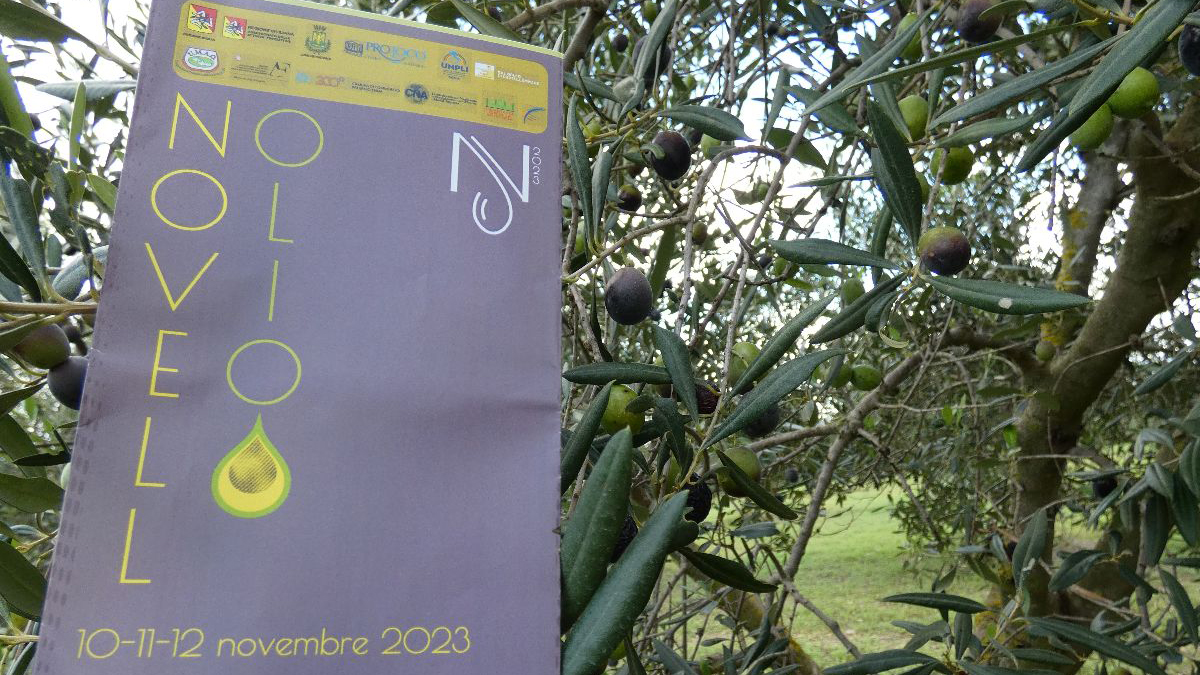 La settima edizione di Novell'Olio, la manifestazione dedicata all'olio extravergine d'oliva siciliano, si è svolta con successo a Partinico dal 10 al 12 novembre.