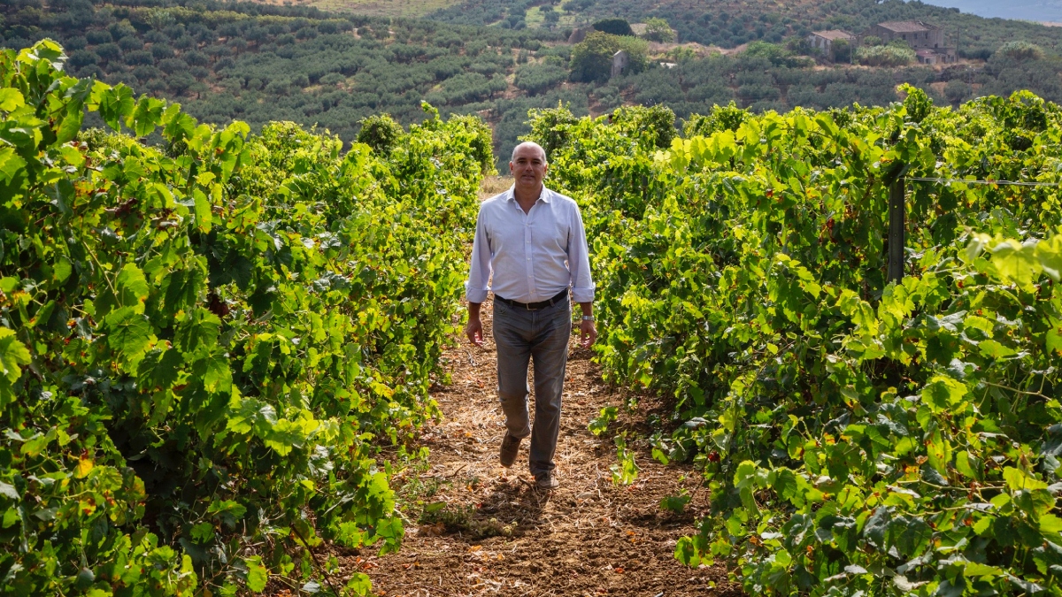 Feudo Disisa al Vinitaly 2024: i vini della Doc Monreale conquistano la scena